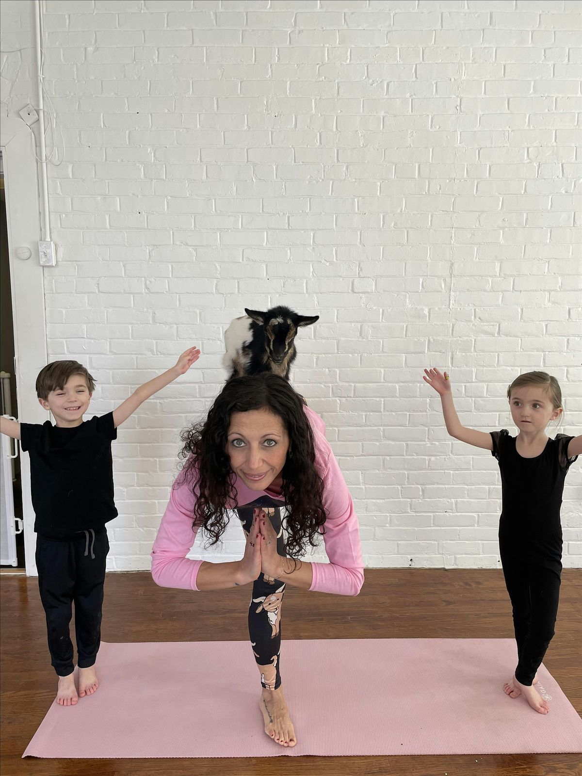 Indoor Winter Goat Yoga with Baby Goats in West Hartford