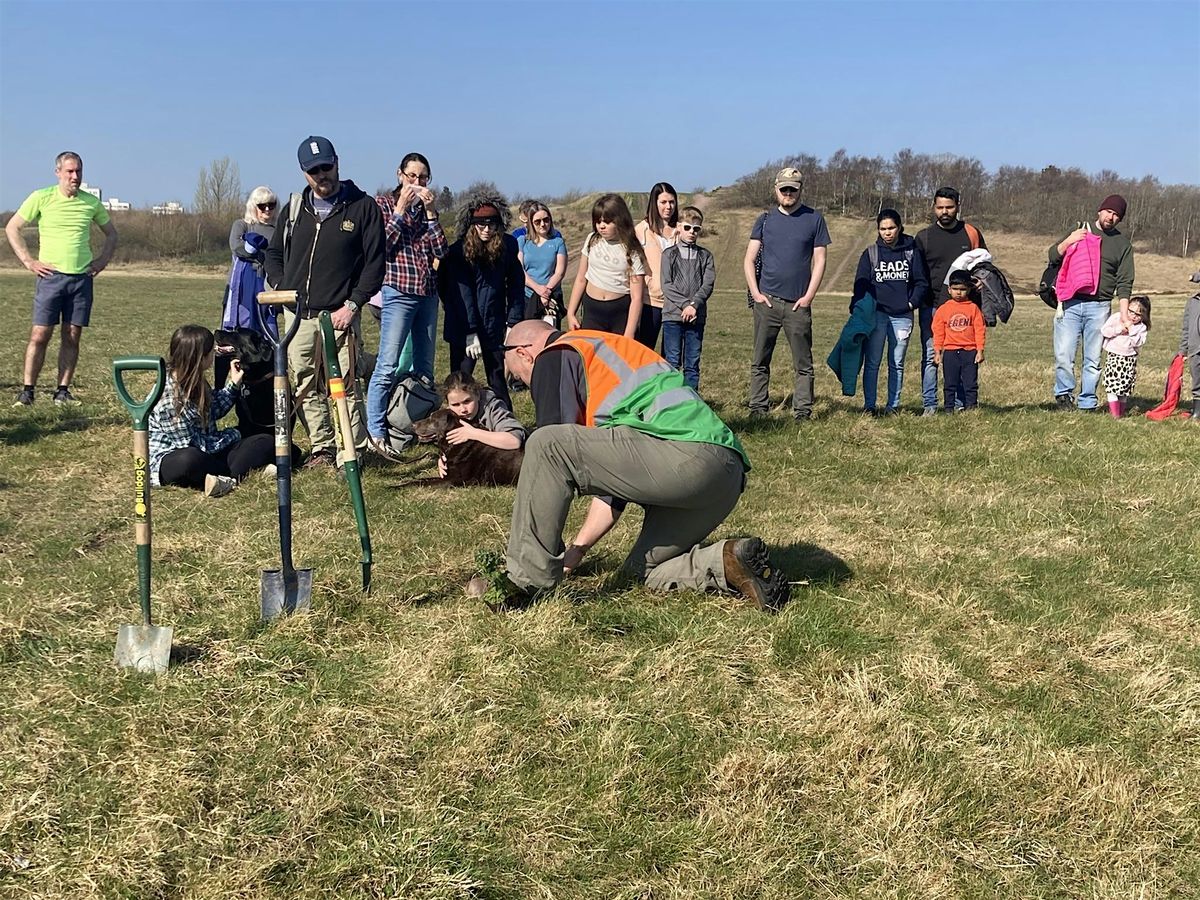 Community Tree Planting at Alexander Scott Park