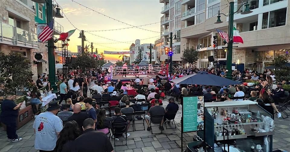 "Punches In The Piazza" Fight Night for Charity