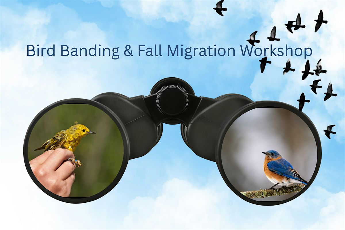Engage with Nature: Bird Banding and Migration.