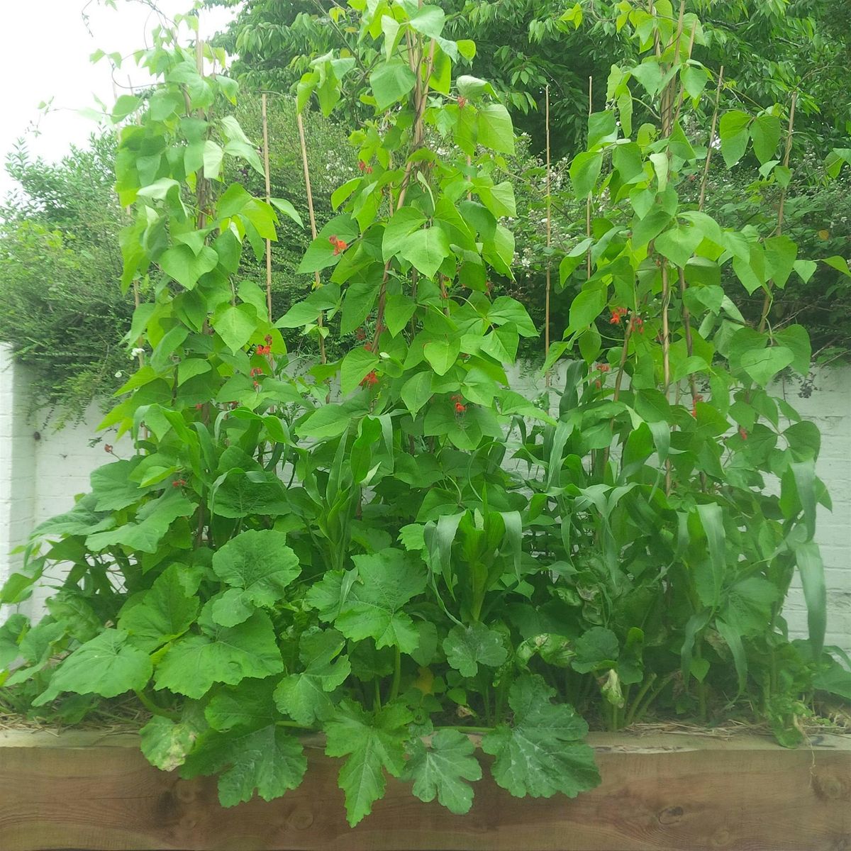 Self-Sufficiency planning (UK)