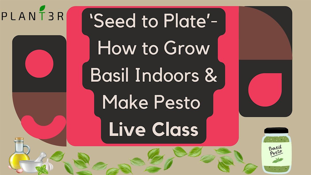 \u2018Seed to Plate\u2019 \u2013 How to Grow Basil Indoors & Make Pesto Live Class