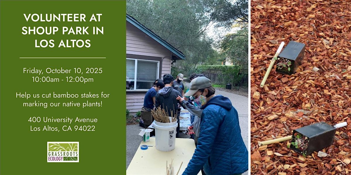 Volunteer Stake-Cutting at Shoup Park in Los Altos