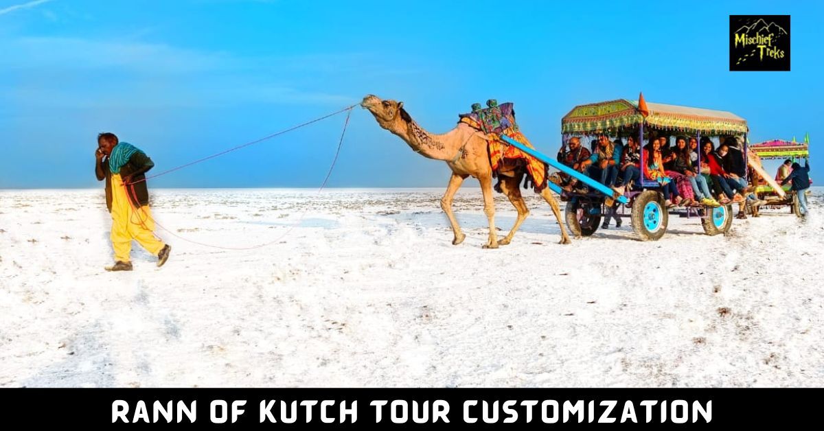 Rann of Kutch Package Customization 2024 - 2025 | Resort | Hotel | Ticket Booking | Tent City