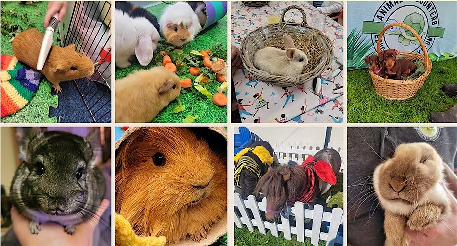 Connected Sundays: Meet the Animals with Animal Encounters!