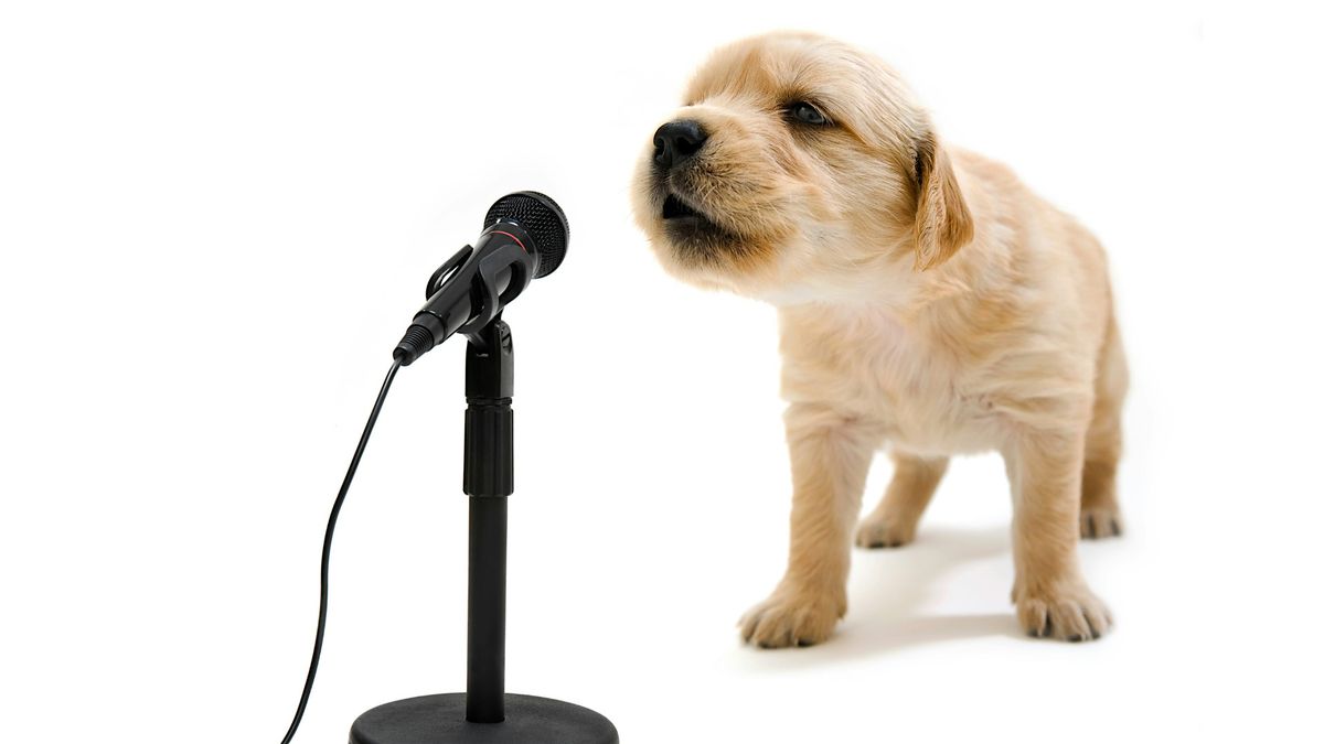 Dog Friendly Karaoke Night - Members Only!