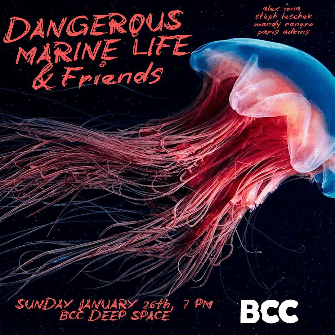 Dangerous Marine Life & Friends