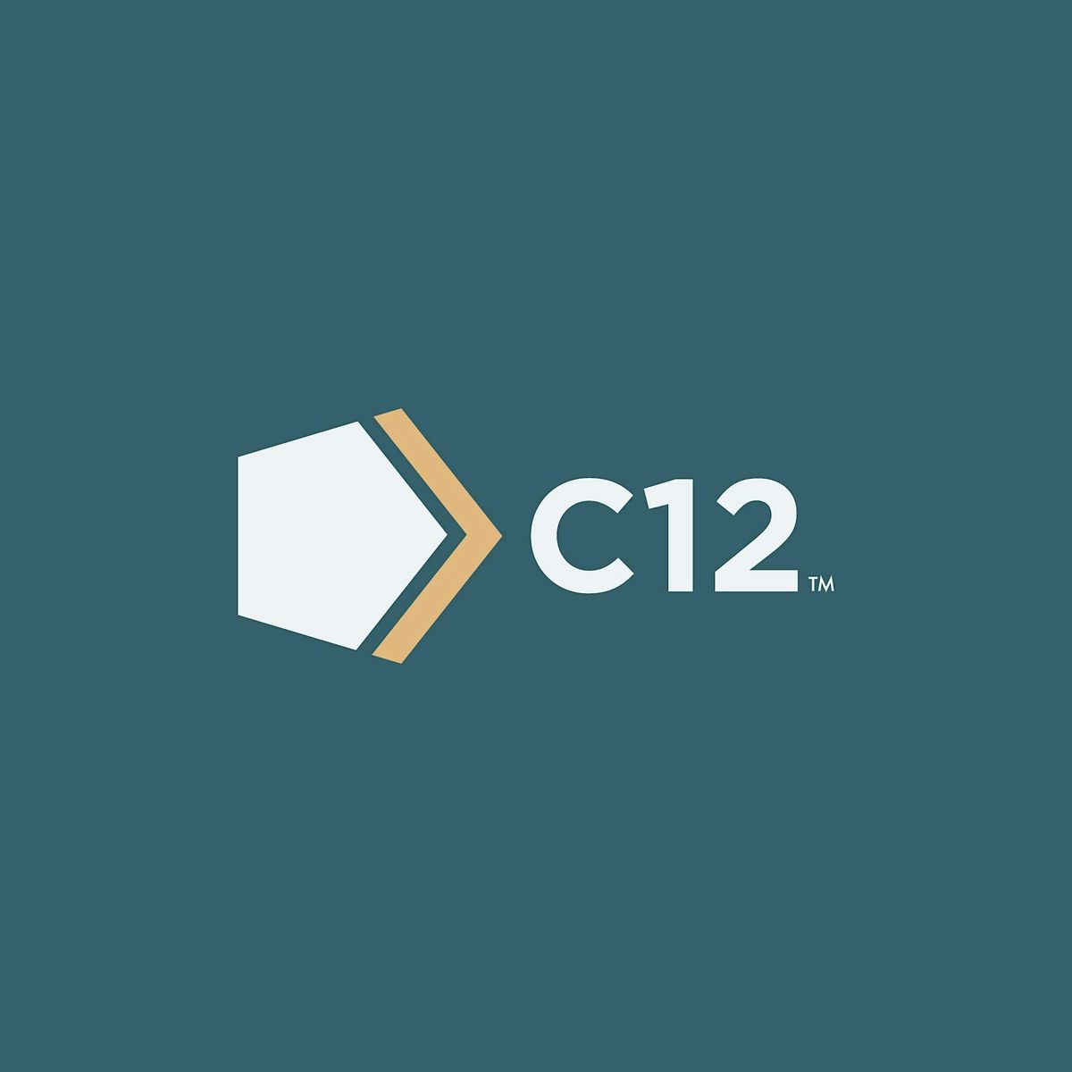 C12 Executive Briefing | Great businesses, GREATER purpose! | Breakfast