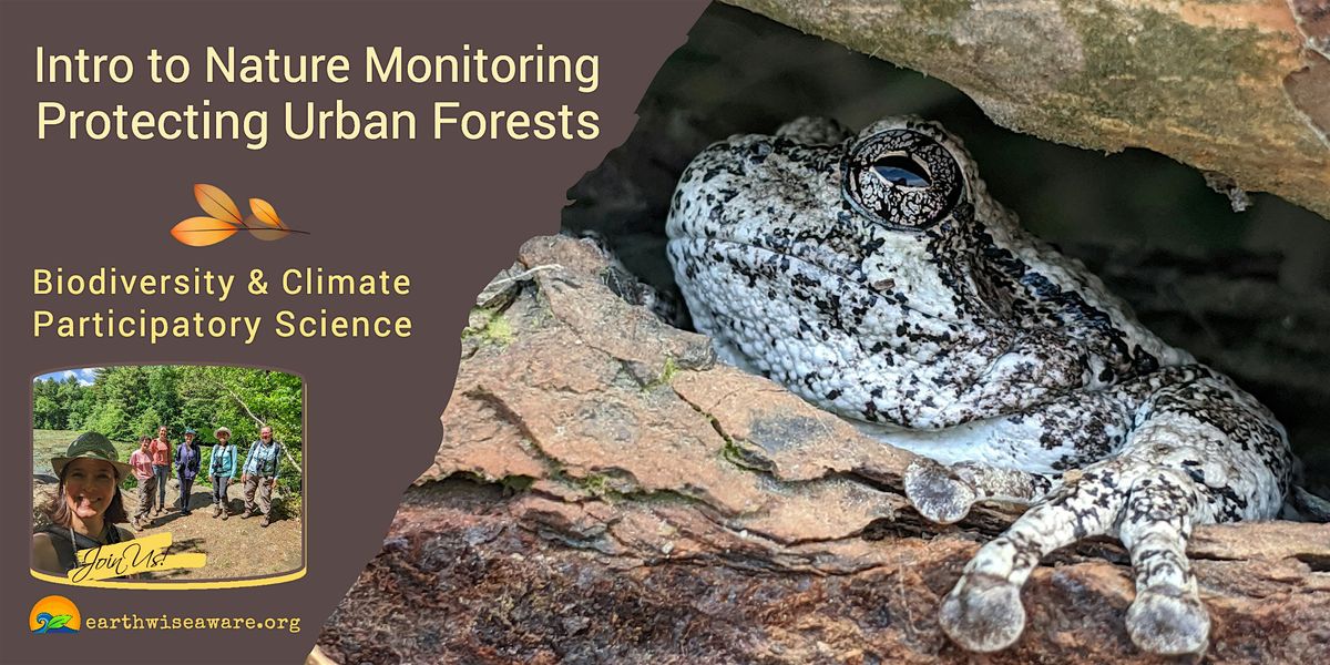 Introduction to Nature Monitoring \u2013 Protecting Urban Forests