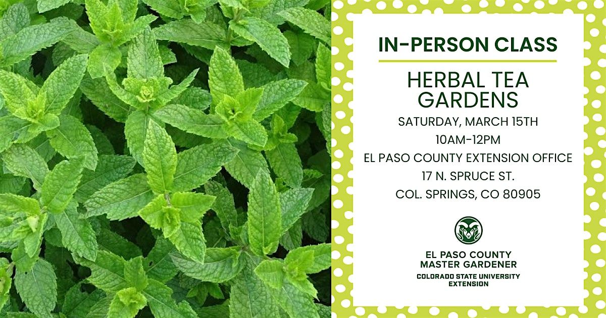 Herbal Tea Gardens - In Person