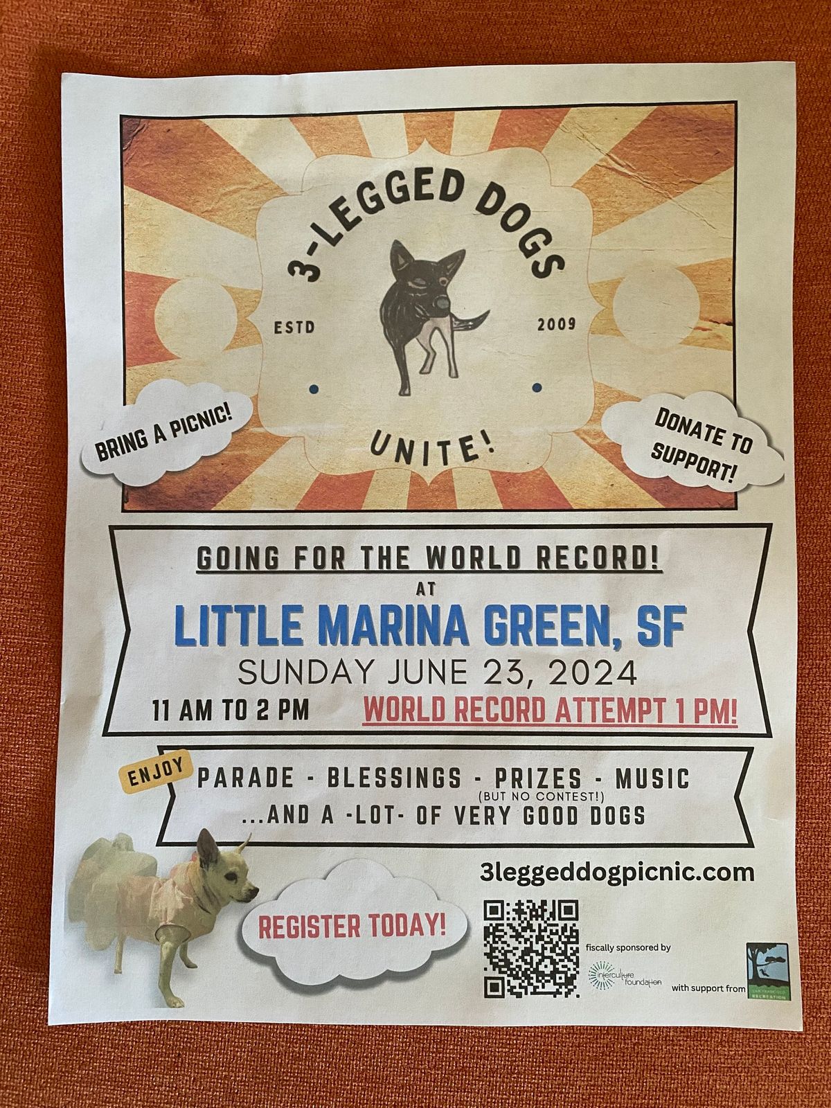 Tri Pawed Dog World Record Attempt