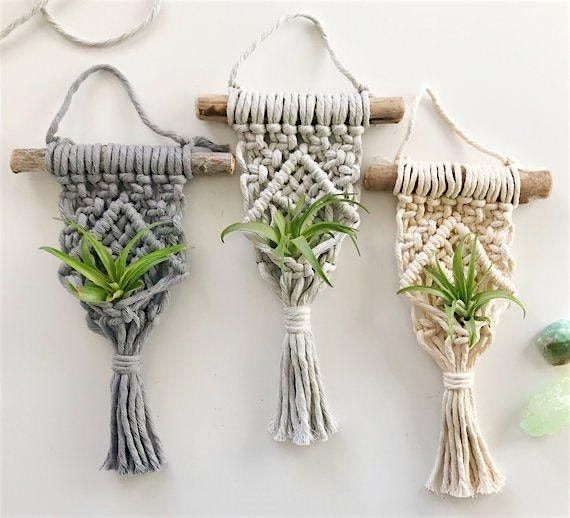 Macrame Air plant hanger