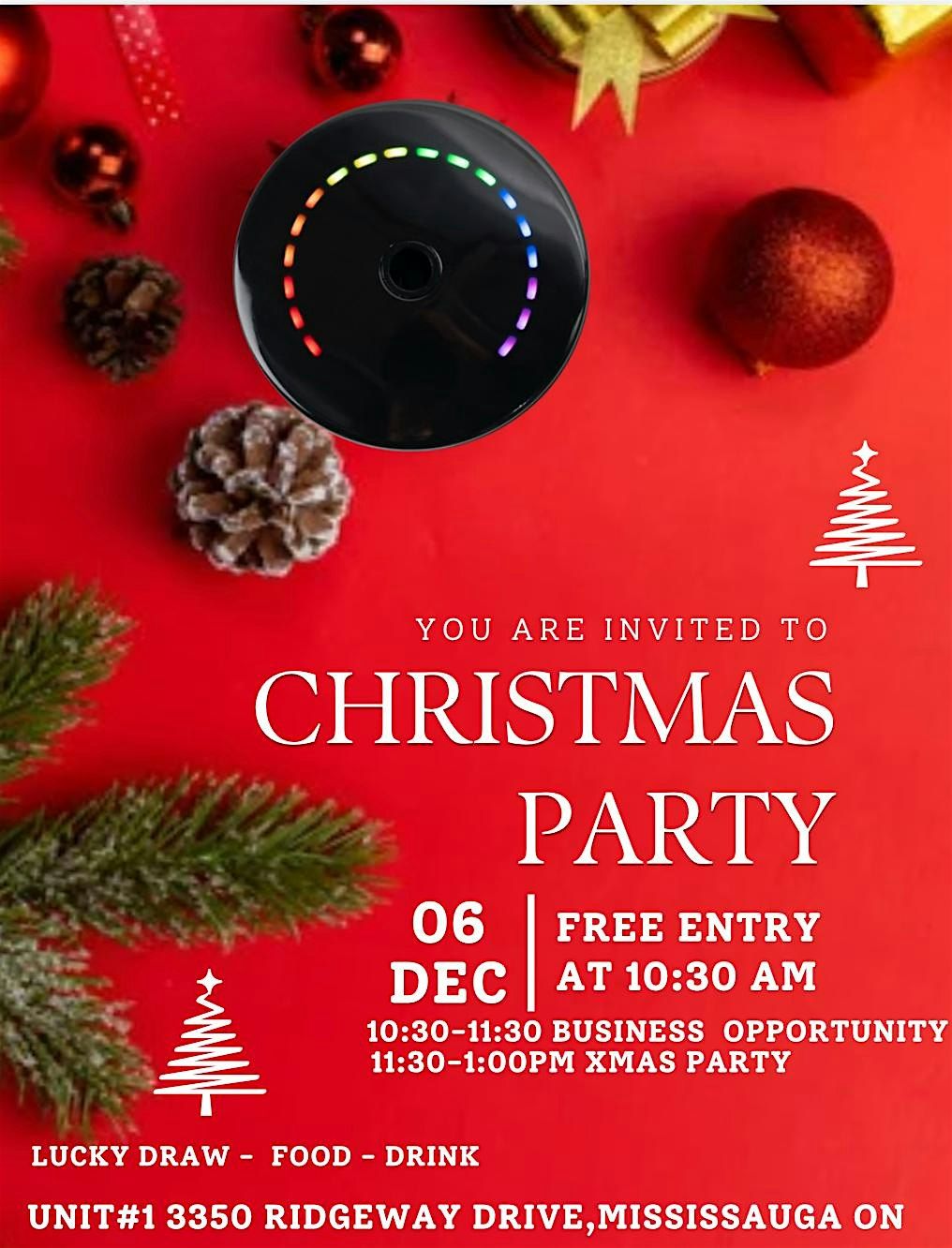 Christmas Party & Business Opportunity