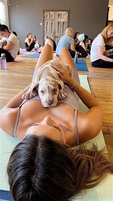 Puppy Yoga