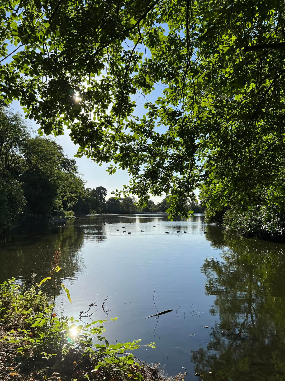 Swanshurst Park Conservation Area Clear-up