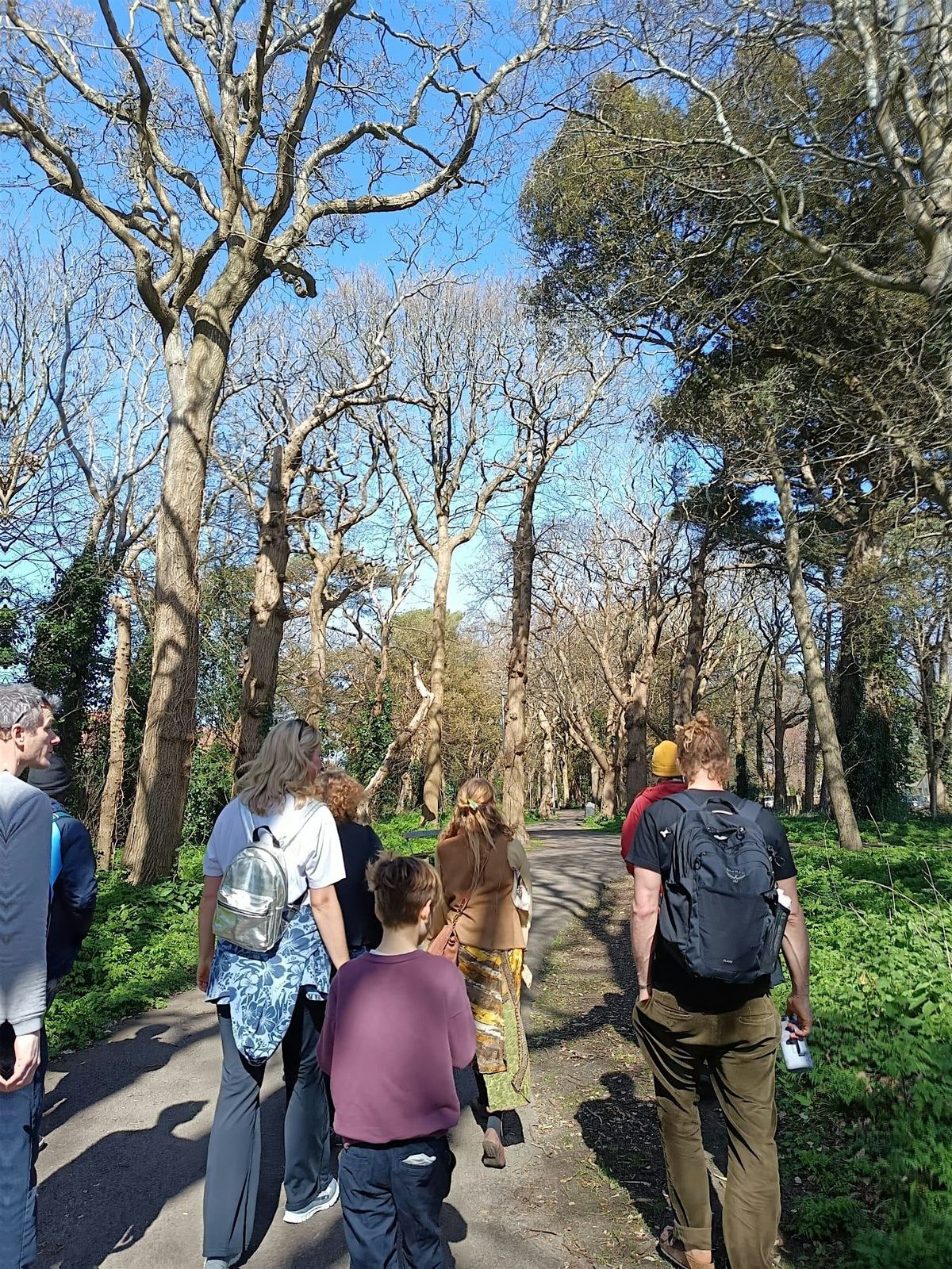 Walking with the Wild:  Foraging for Mushrooms and Herbal Medicine