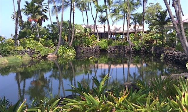 Ancient Healing and Spiritual Shamanism of Hawai`i - Intro to Huna Workshop