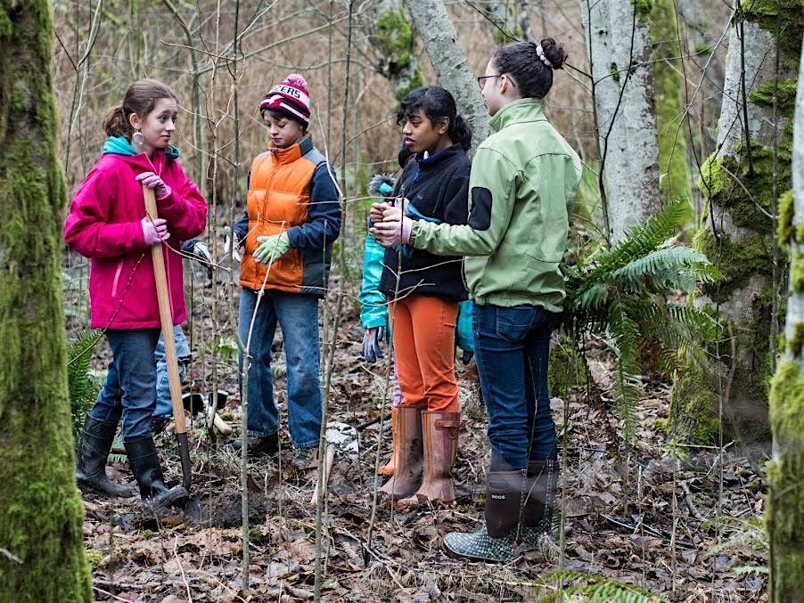 Native Planting at Dirksen Nature Park