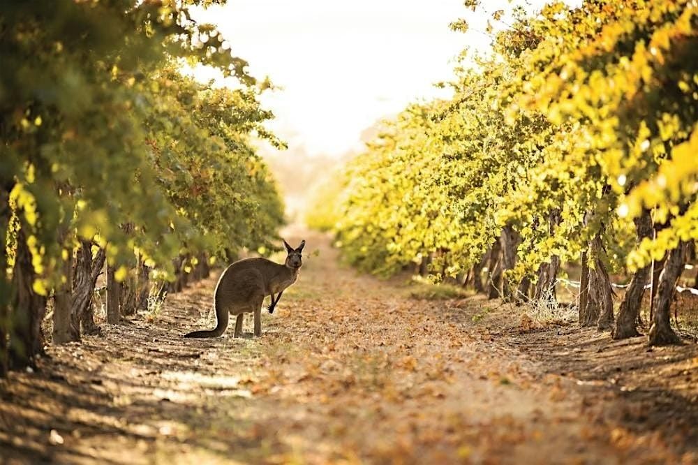Australia: Wine Down Under