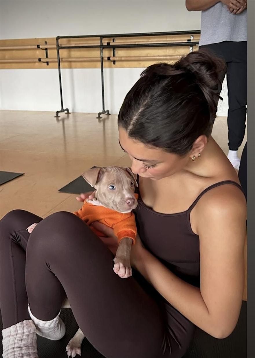 PUPPY PILATES