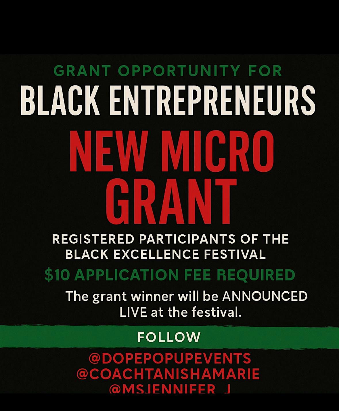 BLACK EXCELLENCE FESTIVAL MICRO GRANT -FEE $10