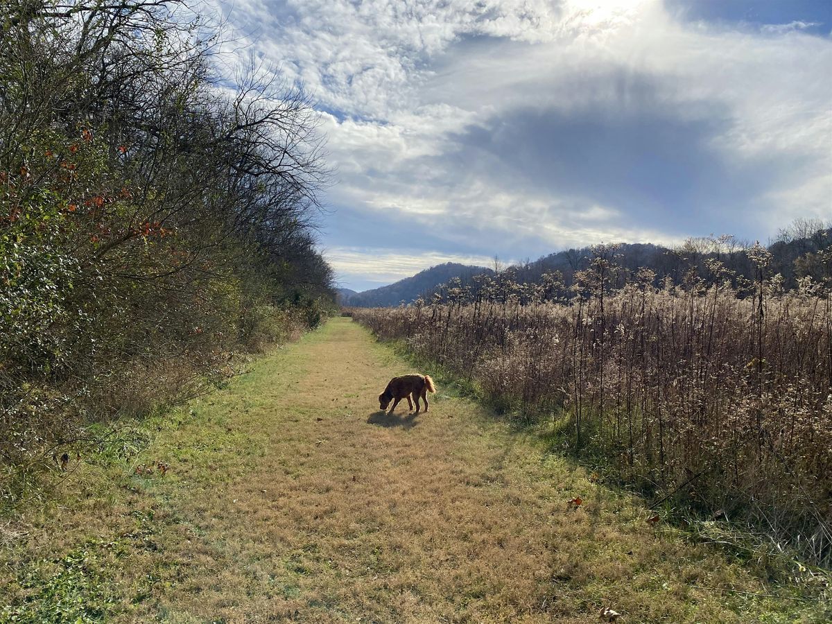 Hiking with Haley: Nature Immersion + Clarity Breakthrough