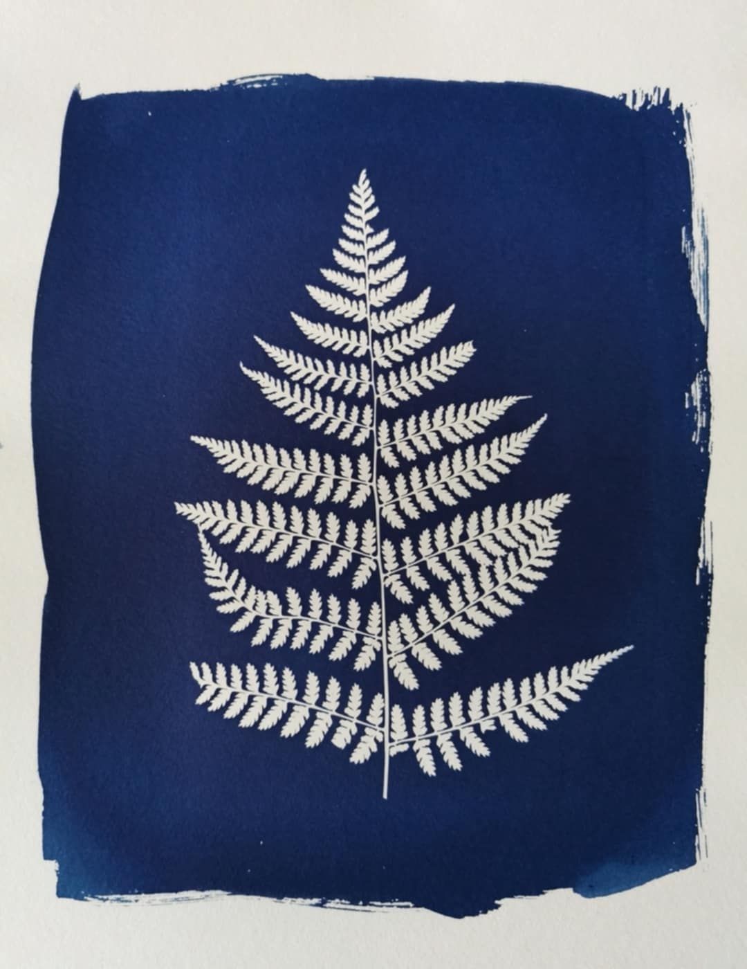 Atelier Cyanotype