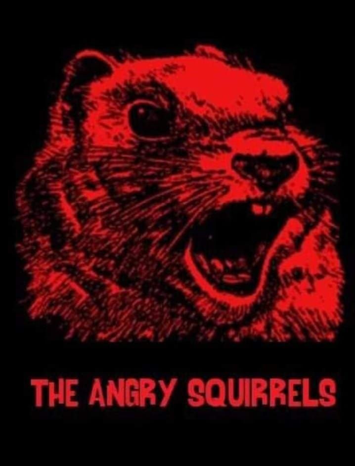 The Angry Squirrels Rock Green Town on The Rocks - Sunday Funday