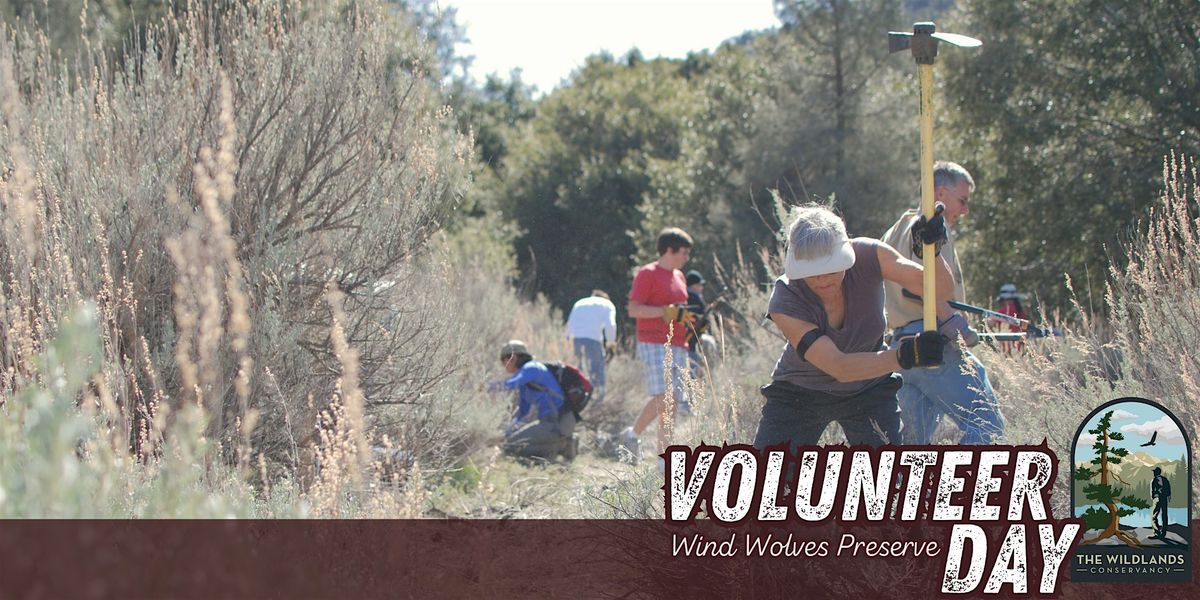 Volunteer Day: Trail Work -  Wind Wolves Preserve