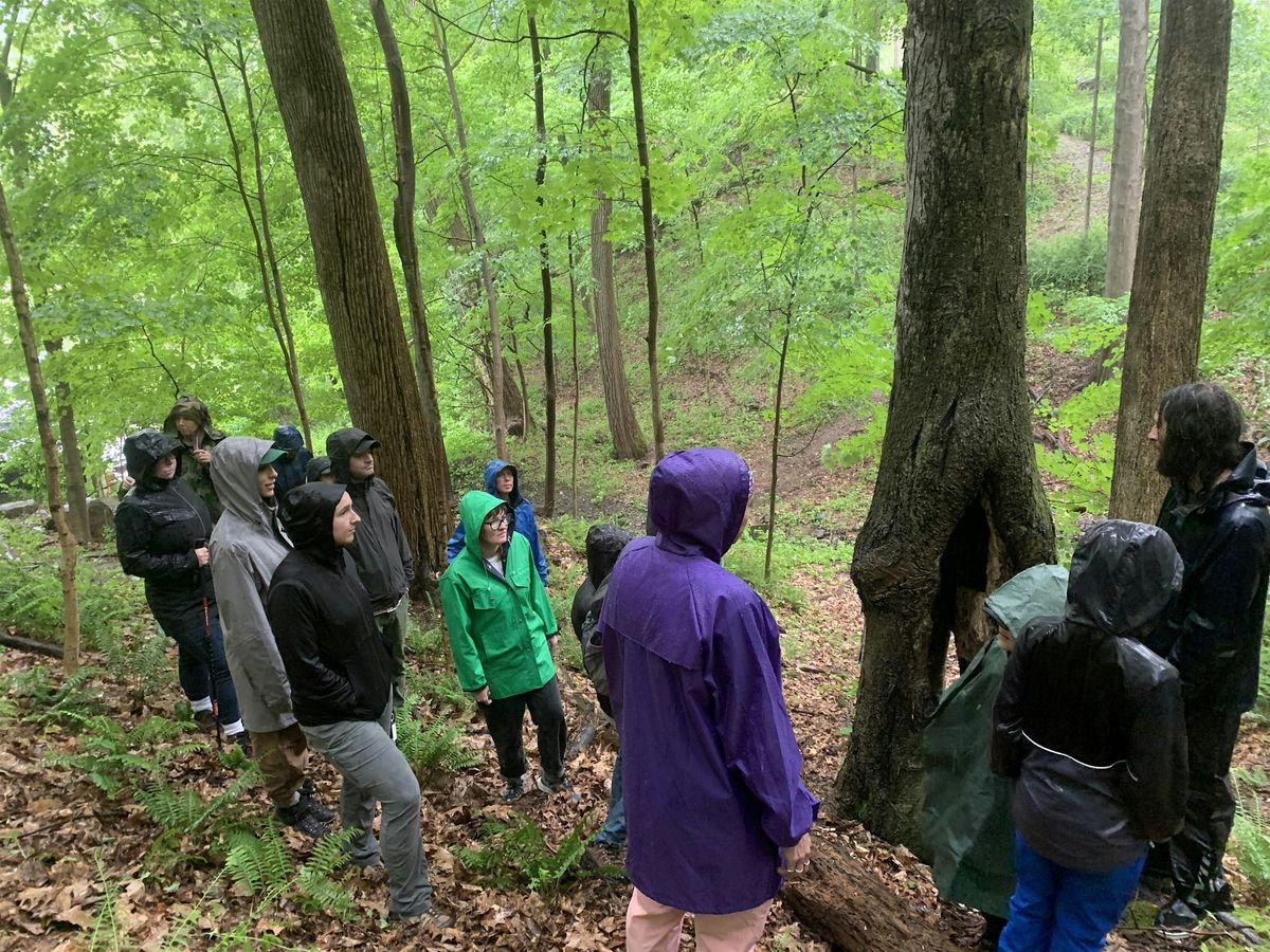 Fungi and Ecology Walk at Red Fox Ravine