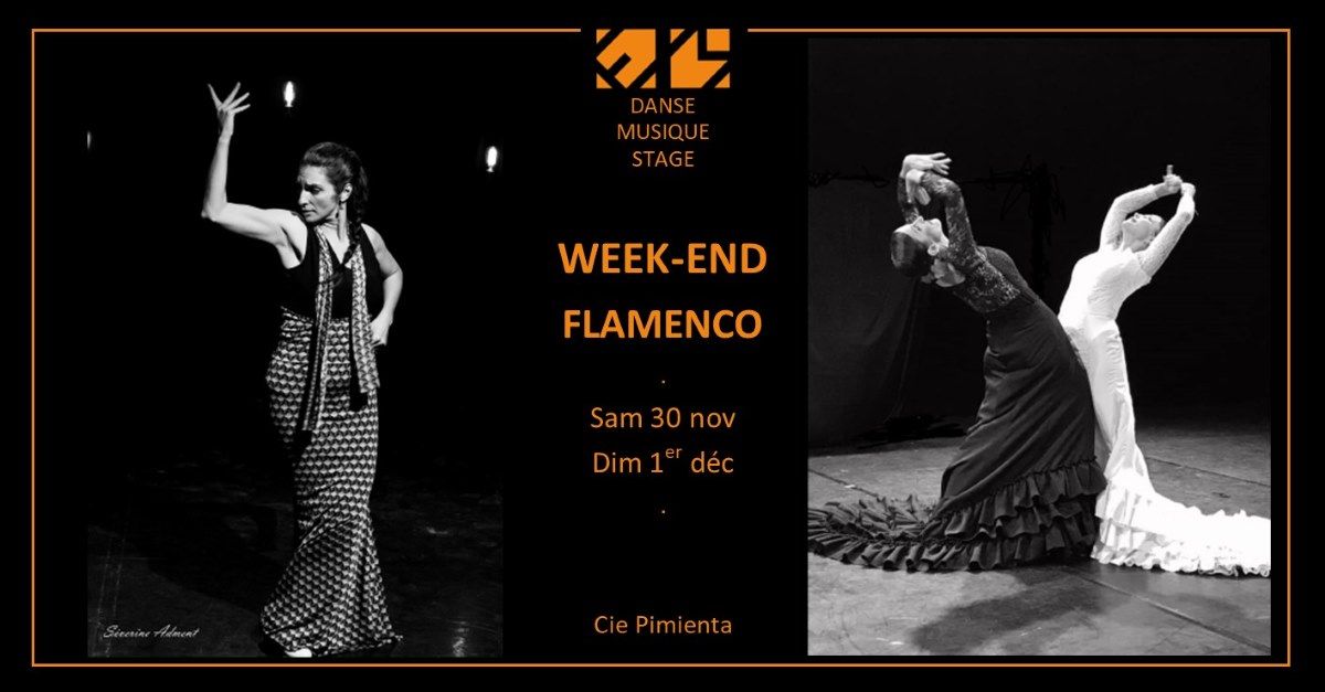 [WEEK-END FLAMENCO | 30 nov & 1er d\u00e9c 2024 | Cie PIMIENTA | ESPACE MAGNAN