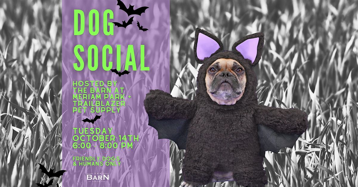 Dog Social