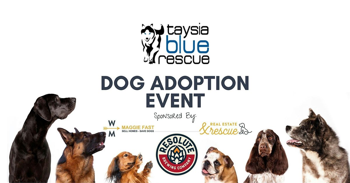 Dog Adoption Event and Fundraiser for Taysia Blue Husky & Malamute Rescue