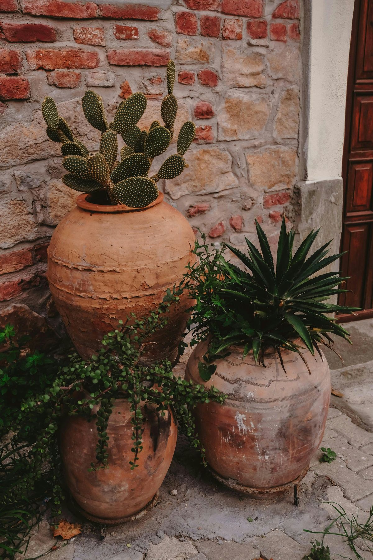 Botany Workshop: Container Gardening