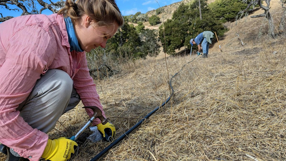 Native Pollinator Garden Planting at Ferrini Ranch