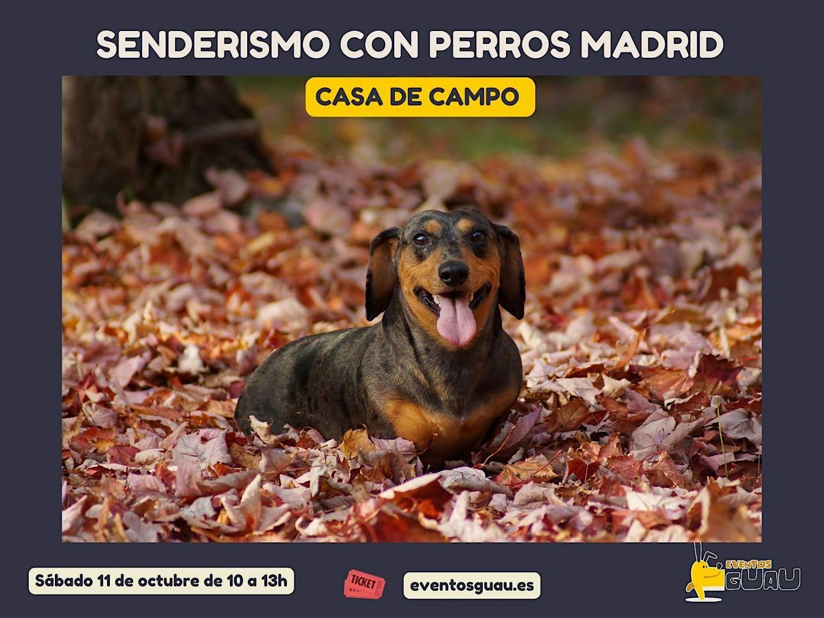 Casa de Campo \u2013 Explora el pulm\u00f3n de Madrid con panor\u00e1micas \u00fanicas