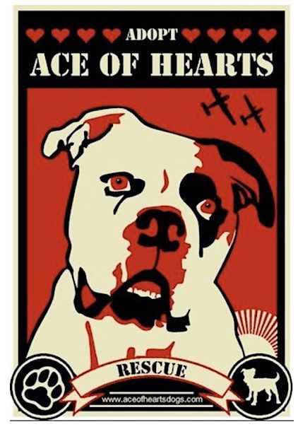 Ace of Hearts Adoption Event (Volunteers Needed)