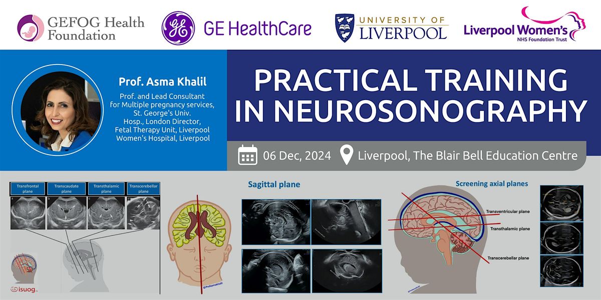 Practical training in Neurosonography