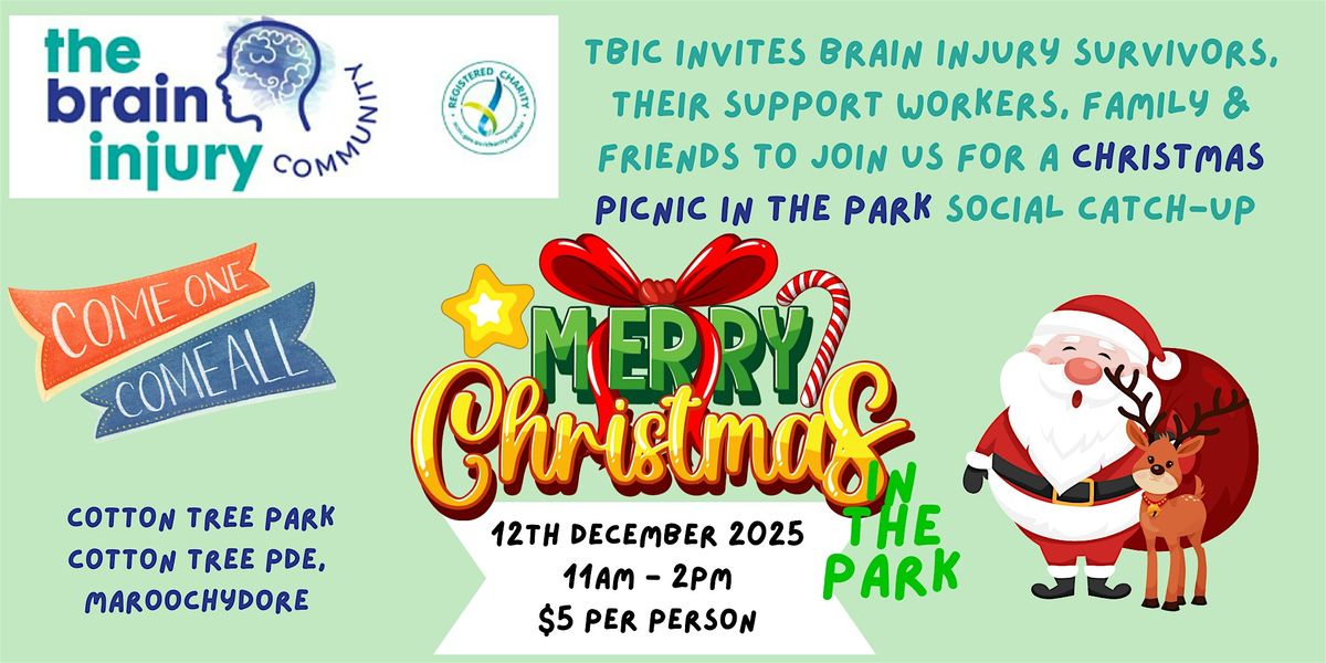Maroochydore - TBIC Christmas Picnic
