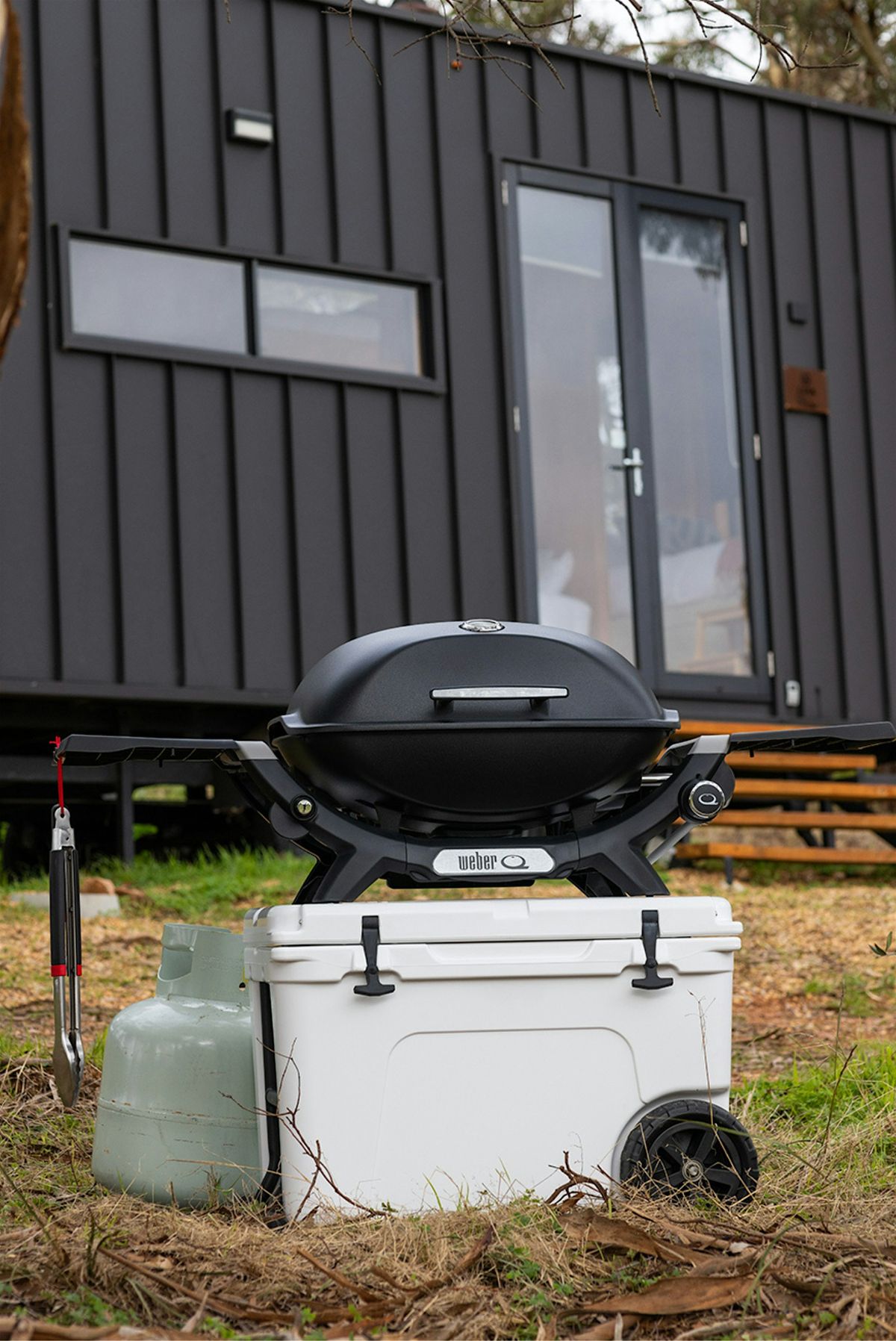 Master The Weber BBQ