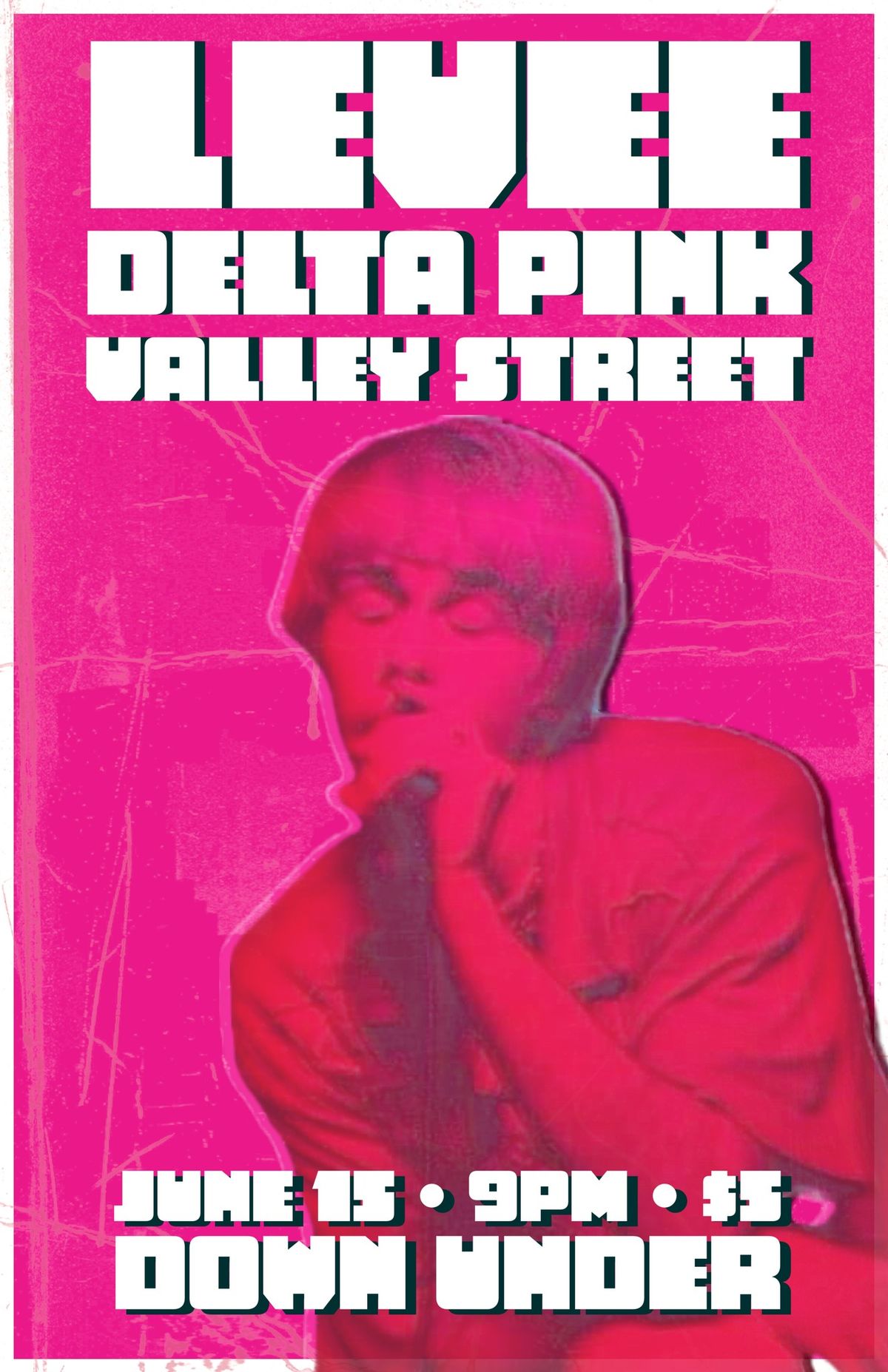 Levee \/\/ Delta Pink \/\/ Valley Street