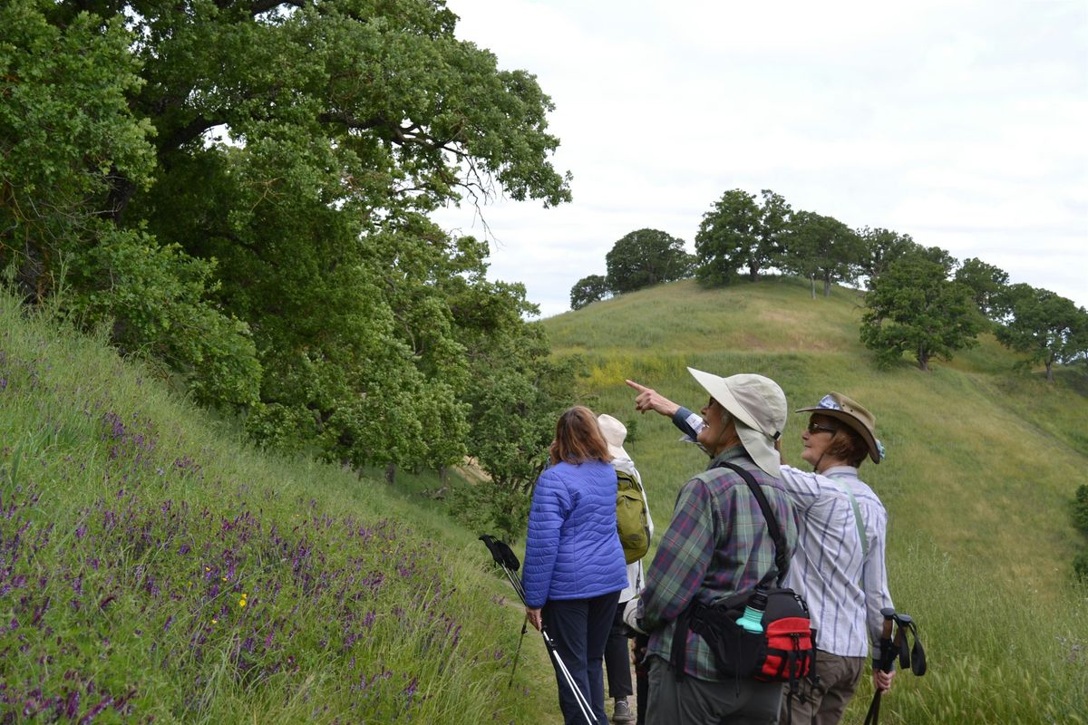 Shell Ridge Open Space Loop