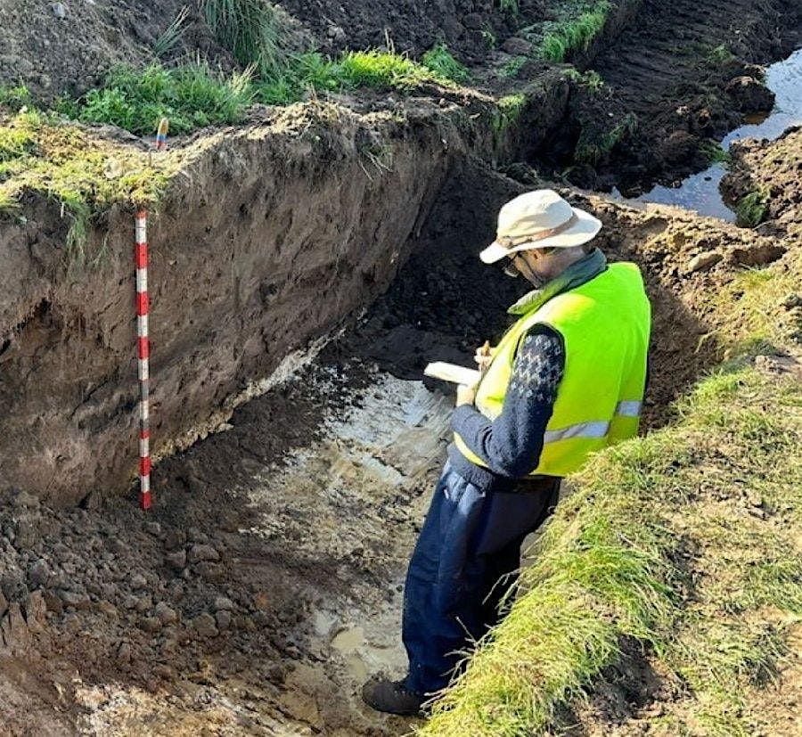 Tales of birds, Brecks and Broads through time