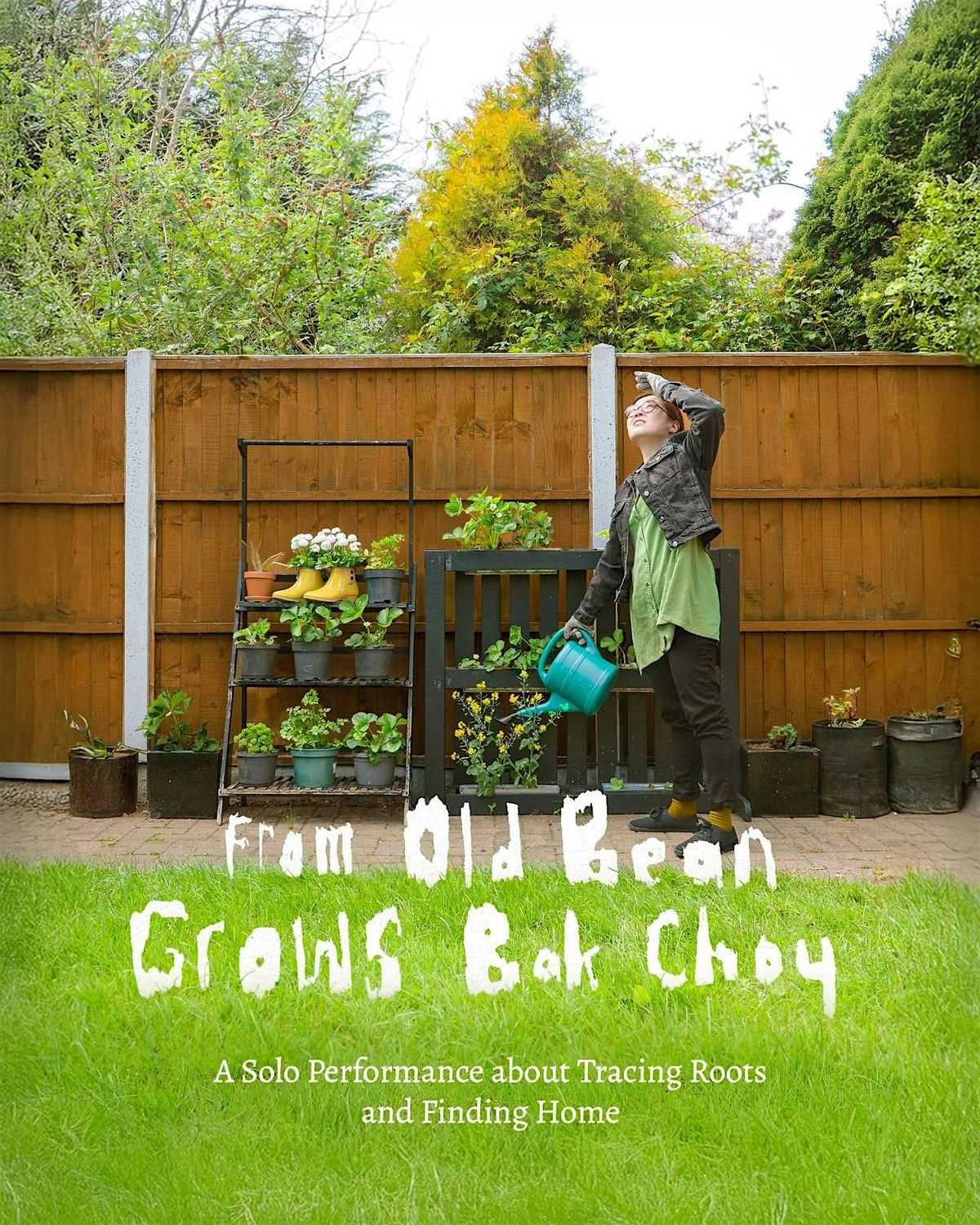 From Old Bean Grows Bak Choy: A Solo Performance about Tracing Roots
