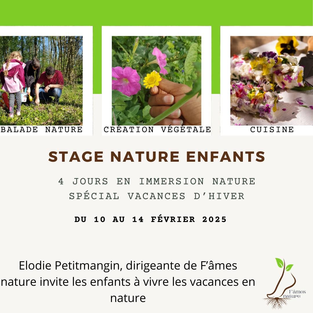 Stage nature enfants