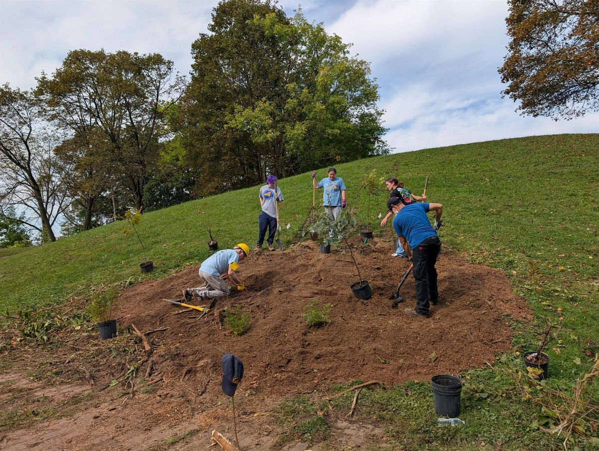 Food Forest Planting in Elmwood Park