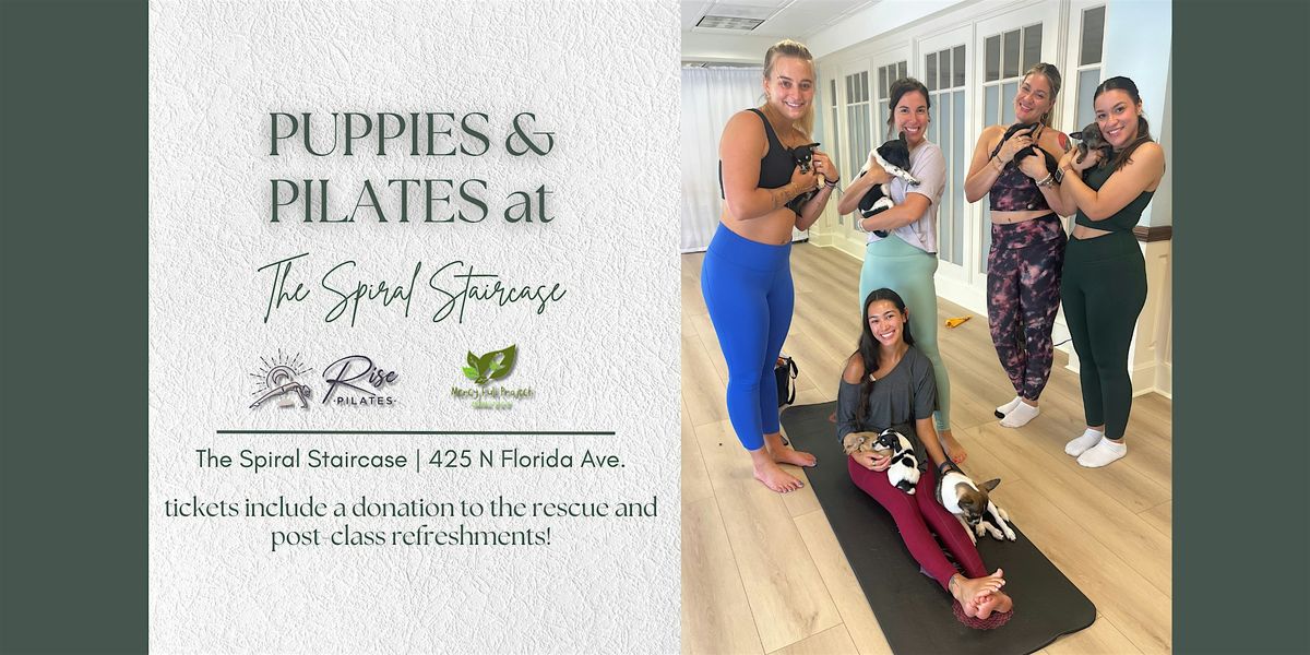 Puppies & Pilates with Mercy Full Project at The Spiral Staircase