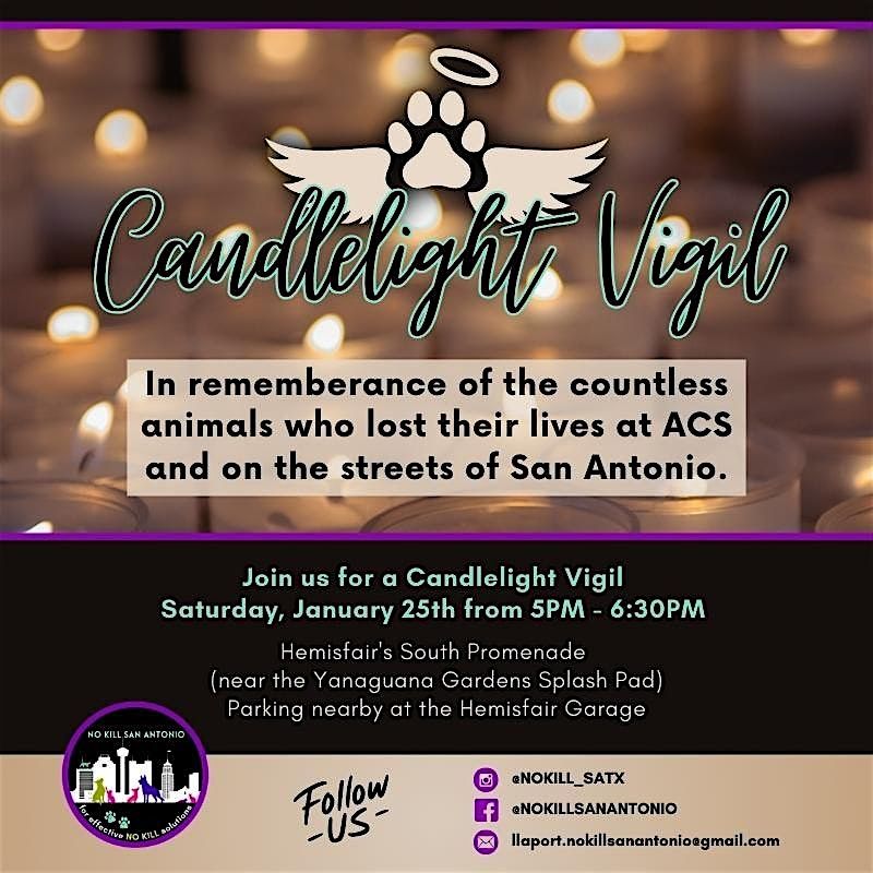 Candlelight Vigil for San Antonio's Animals