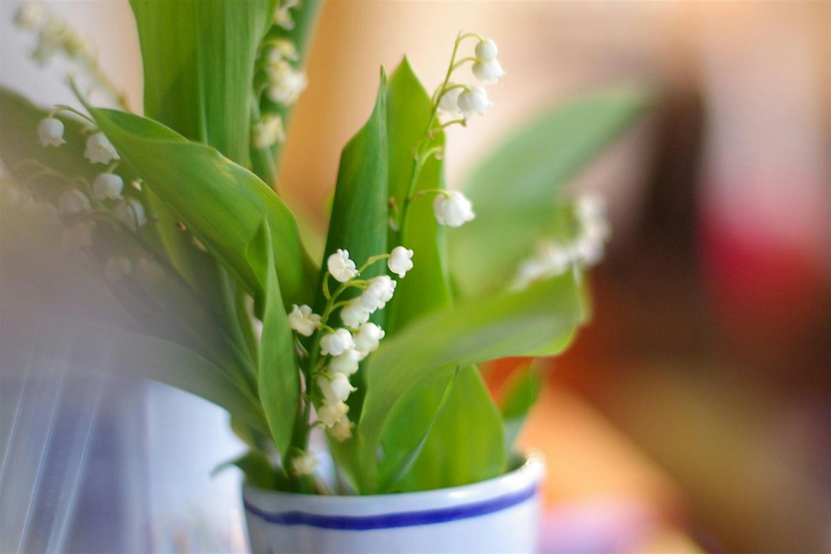 Lily of the Valley: Perfume  Accords  (online)