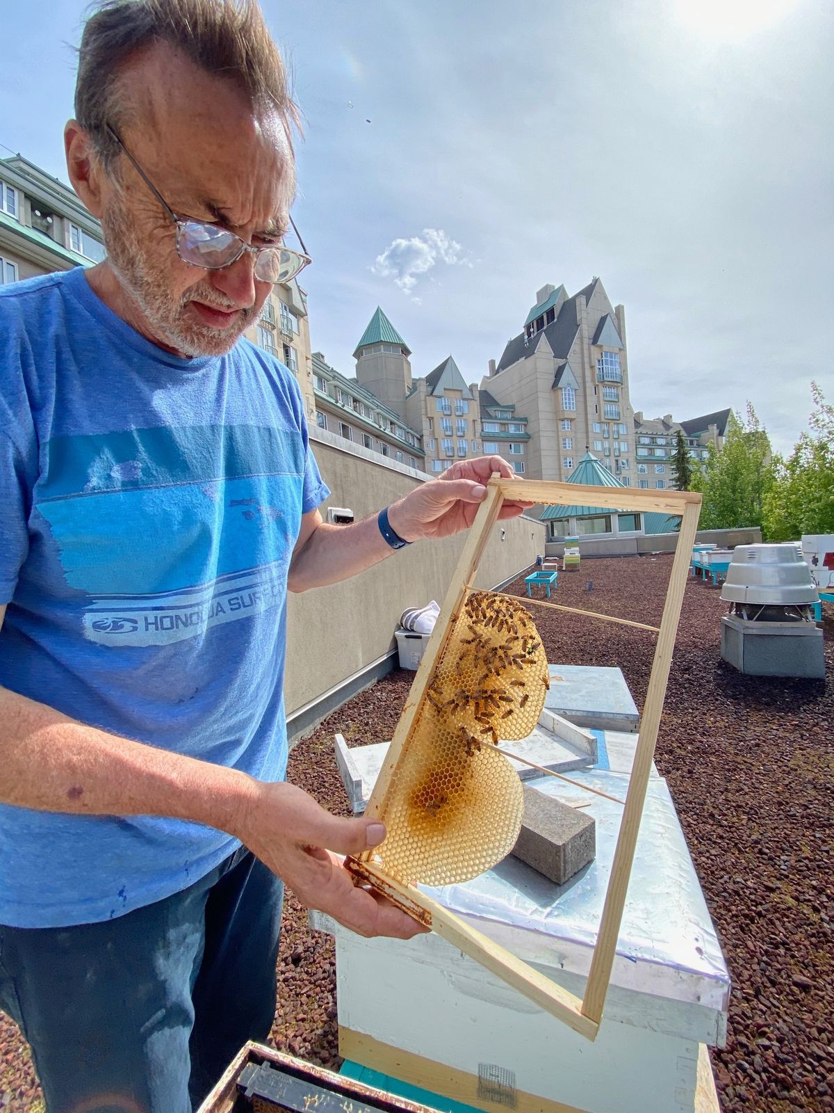 Bee the Change: Saving Whistler's Bees with Iain Glass